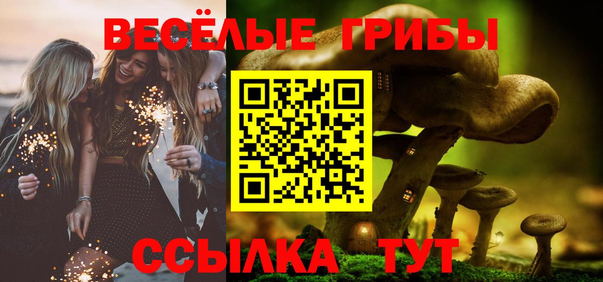 Прохладный  Псилоцибиновые грибы мухоморы  Вход с VPN 